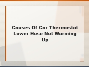 Car Thermostat Lower Hose Not Warming Up: Causes and Repair Solutions