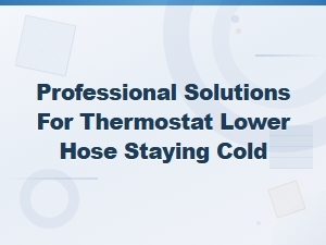Thermostat Lower Hose Staying Cold: Professional Repair Solutions