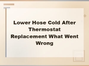 Cold Lower Hose After Thermostat Replacement: What Went Wrong