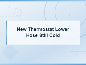 New Thermostat Installed but Lower Radiator Hose Still Cold Diagnosis